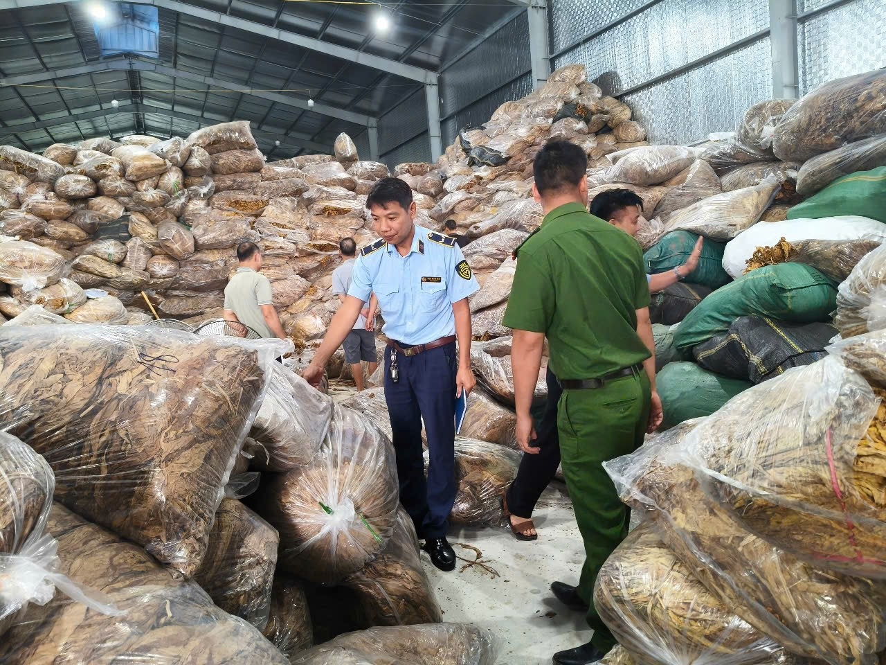 Đội QLTT số 2 tăng cường phối hợp quản lý hoạt động thu mua nguyên liệu thuốc lá tại địa bàn xã Trùng Khánh